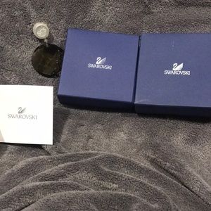 Swarovski earth charm from elements collection.